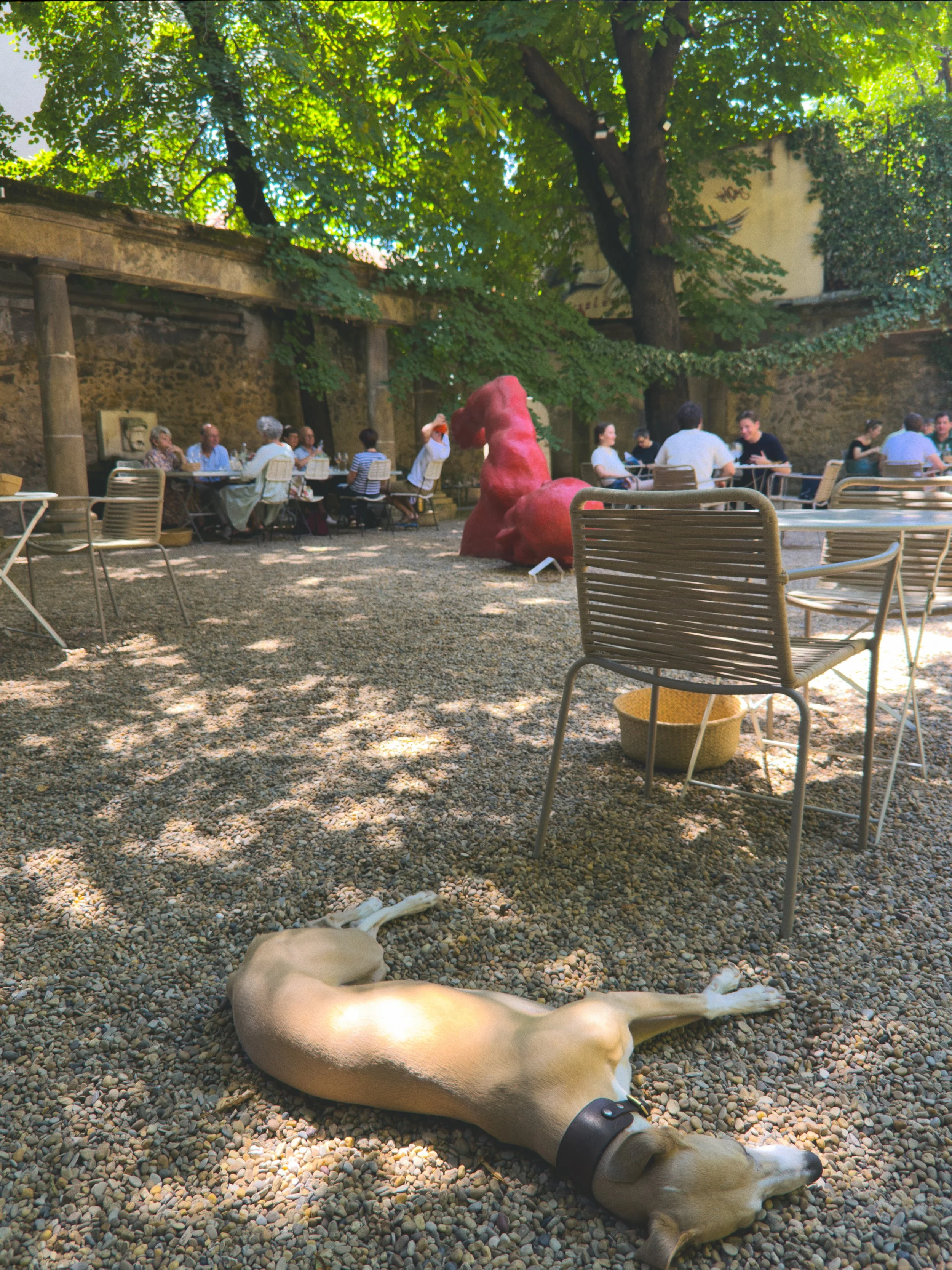 Album image 13