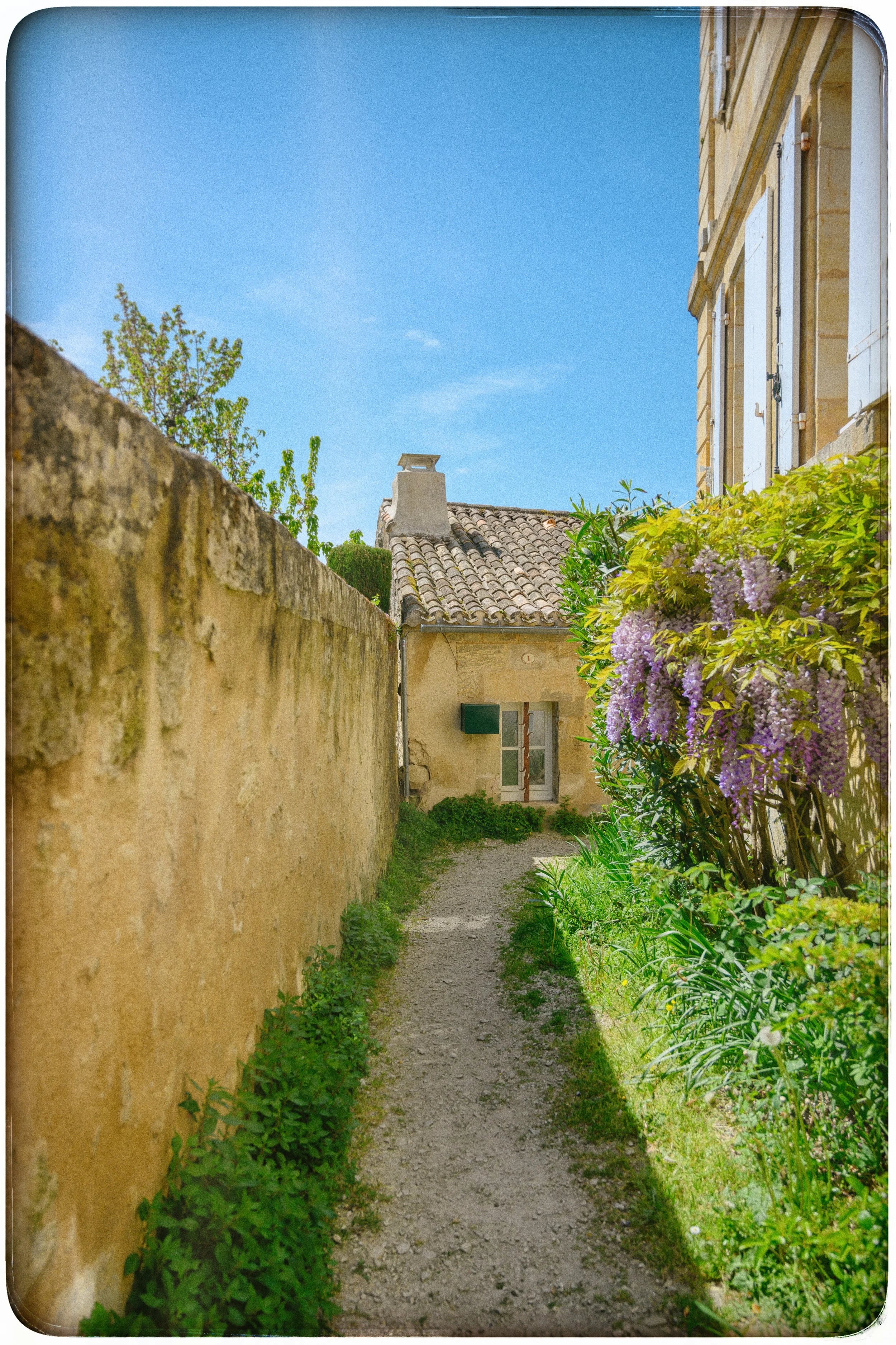 Album image 8