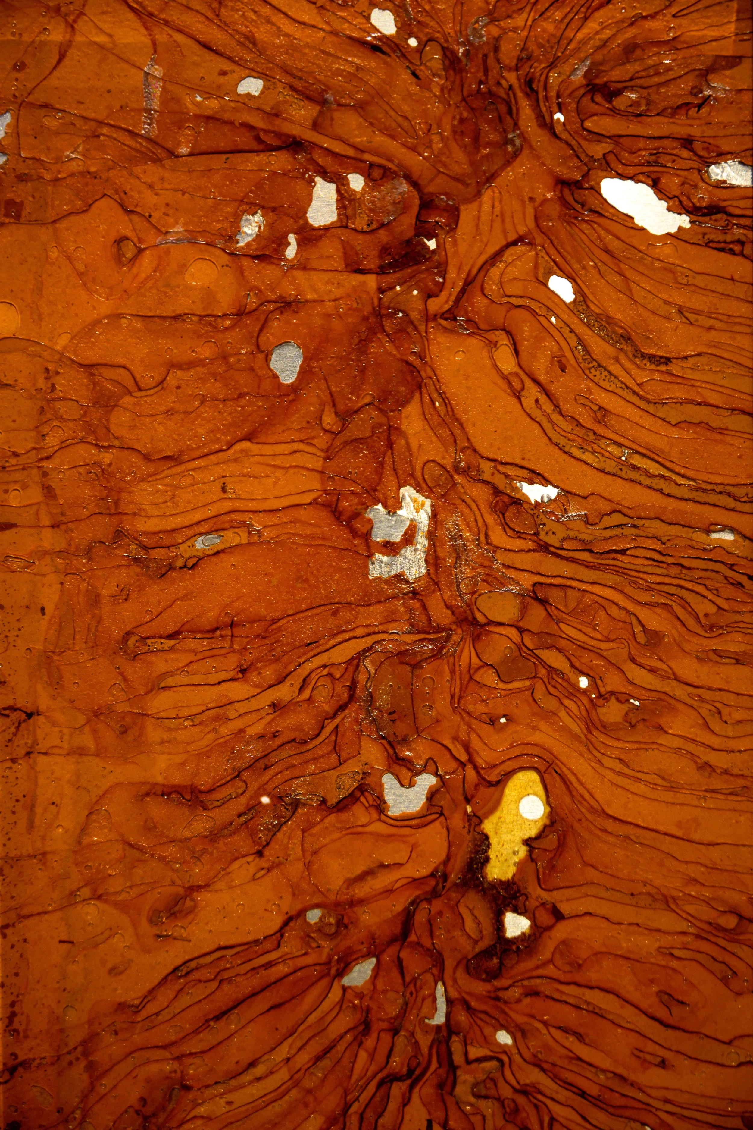 Album image 1